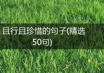 且行且珍惜的句子(精选50句)
