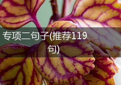 专项二句子(推荐119句)