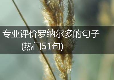 专业评价罗纳尔多的句子(热门51句)