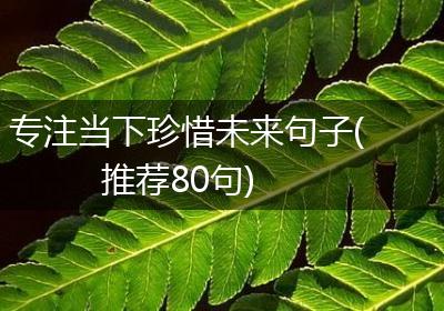 专注当下珍惜未来句子(推荐80句)