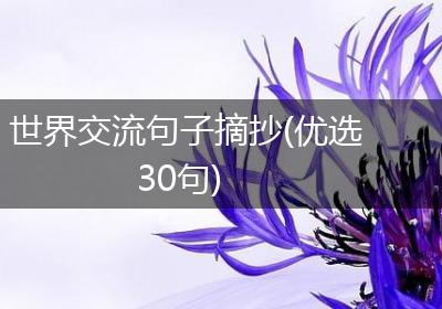 世界交流句子摘抄(优选30句)