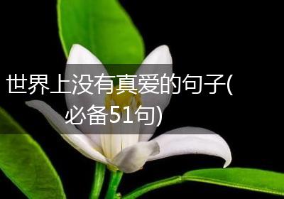 世界上没有真爱的句子(必备51句)