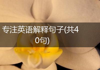 专注英语解释句子(共40句)