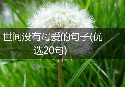世间没有母爱的句子(优选20句)