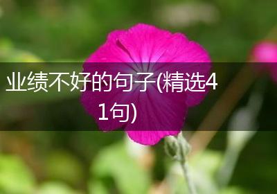 业绩不好的句子(精选41句)