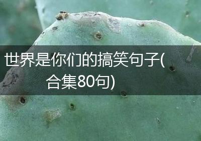 世界是你们的搞笑句子(合集80句)