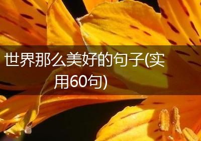 世界那么美好的句子(实用60句)