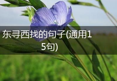 东寻西找的句子(通用15句)