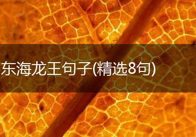 东海龙王句子(精选8句)
