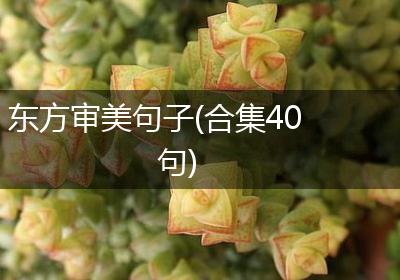 东方审美句子(合集40句)