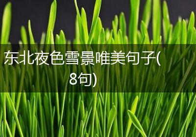 东北夜色雪景唯美句子(8句)