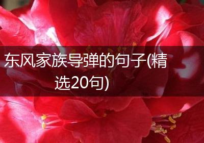 东风家族导弹的句子(精选20句)