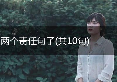 两个责任句子(共10句)