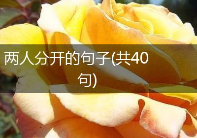 两人分开的句子(共40句)