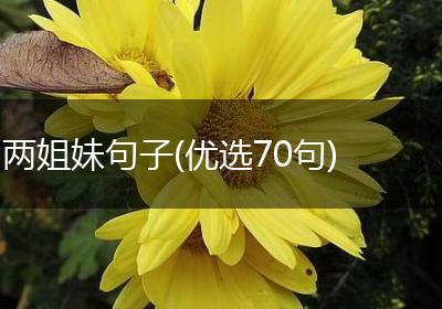 两姐妹句子(优选70句)