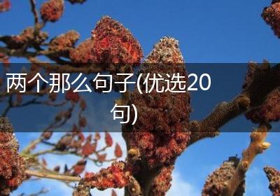 两个那么句子(优选20句)