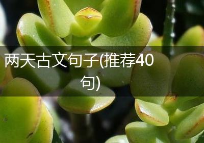 两天古文句子(推荐40句)