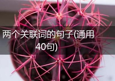 两个关联词的句子(通用40句)