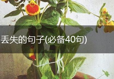 丢失的句子(必备40句)