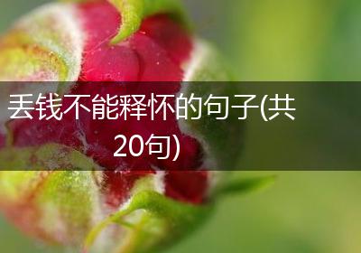 丢钱不能释怀的句子(共20句)