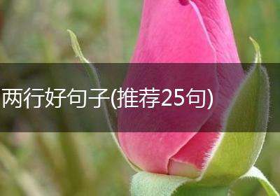 两行好句子(推荐25句)