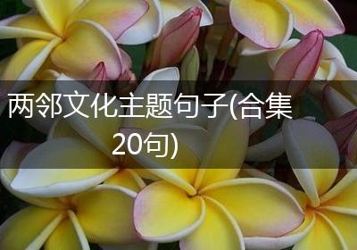 两邻文化主题句子(合集20句)