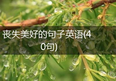 丧失美好的句子英语(40句)