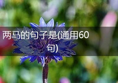两马的句子是(通用60句)