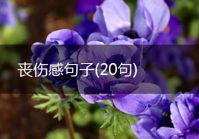 丧伤感句子(20句)