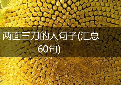 两面三刀的人句子(汇总60句)