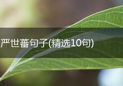 严世蕃句子(精选10句)