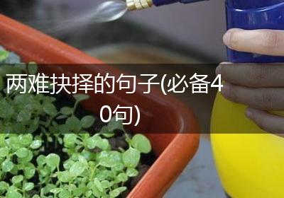 两难抉择的句子(必备40句)