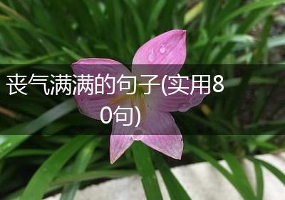 丧气满满的句子(实用80句)