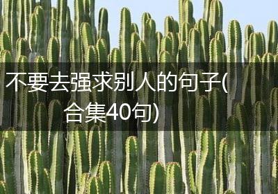 不要去强求别人的句子(合集40句)
