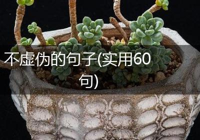 不虚伪的句子(实用60句)