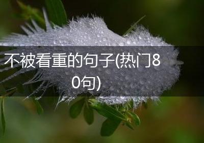 不被看重的句子(热门80句)