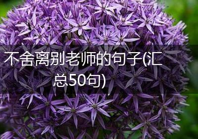 不舍离别老师的句子(汇总50句)