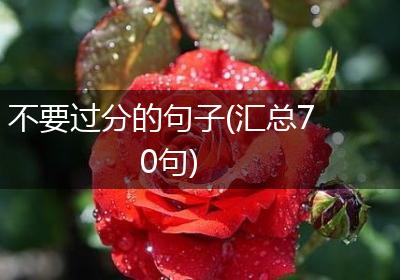 不要过分的句子(汇总70句)