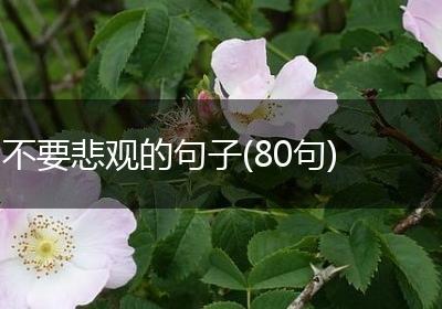 不要悲观的句子(80句)