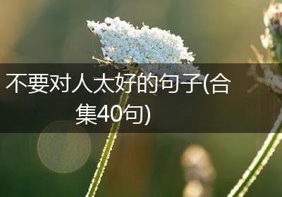 不要对人太好的句子(合集40句)