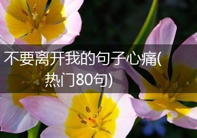 不要离开我的句子心痛(热门80句)
