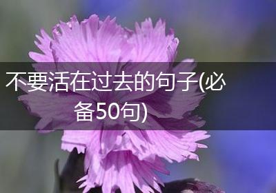 不要活在过去的句子(必备50句)