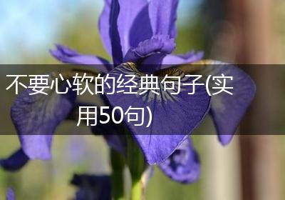 不要心软的经典句子(实用50句)