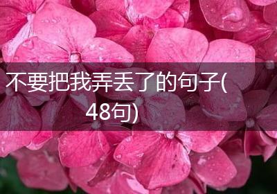 不要把我弄丢了的句子(48句)