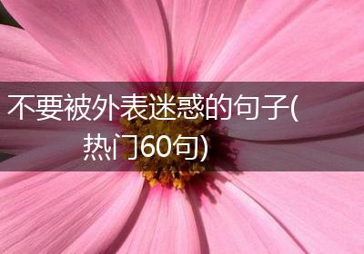 不要被外表迷惑的句子(热门60句)