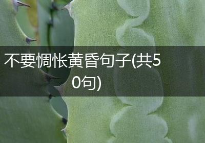 不要惆怅黄昏句子(共50句)