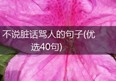 不说脏话骂人的句子(优选40句)