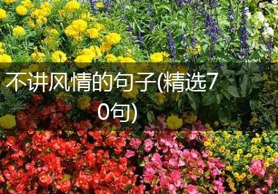 不讲风情的句子(精选70句)