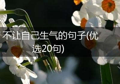 不让自己生气的句子(优选20句)