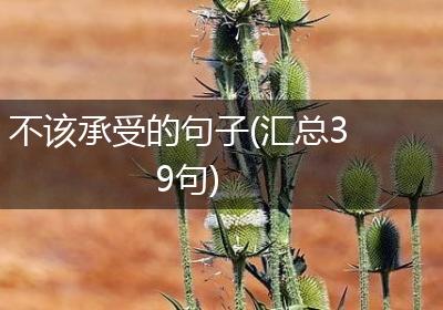 不该承受的句子(汇总39句)